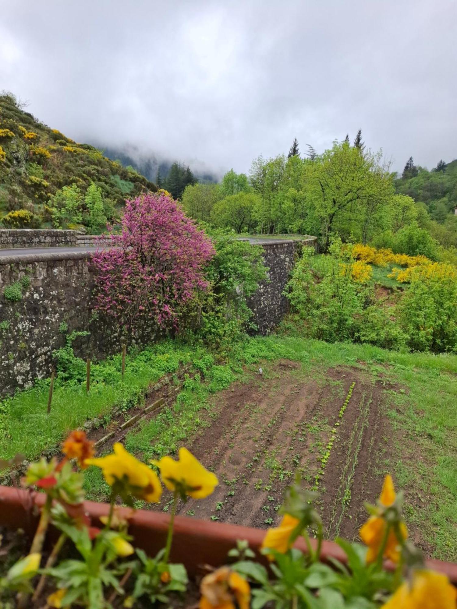 Auberge Arthea Laviolle Exterior foto
