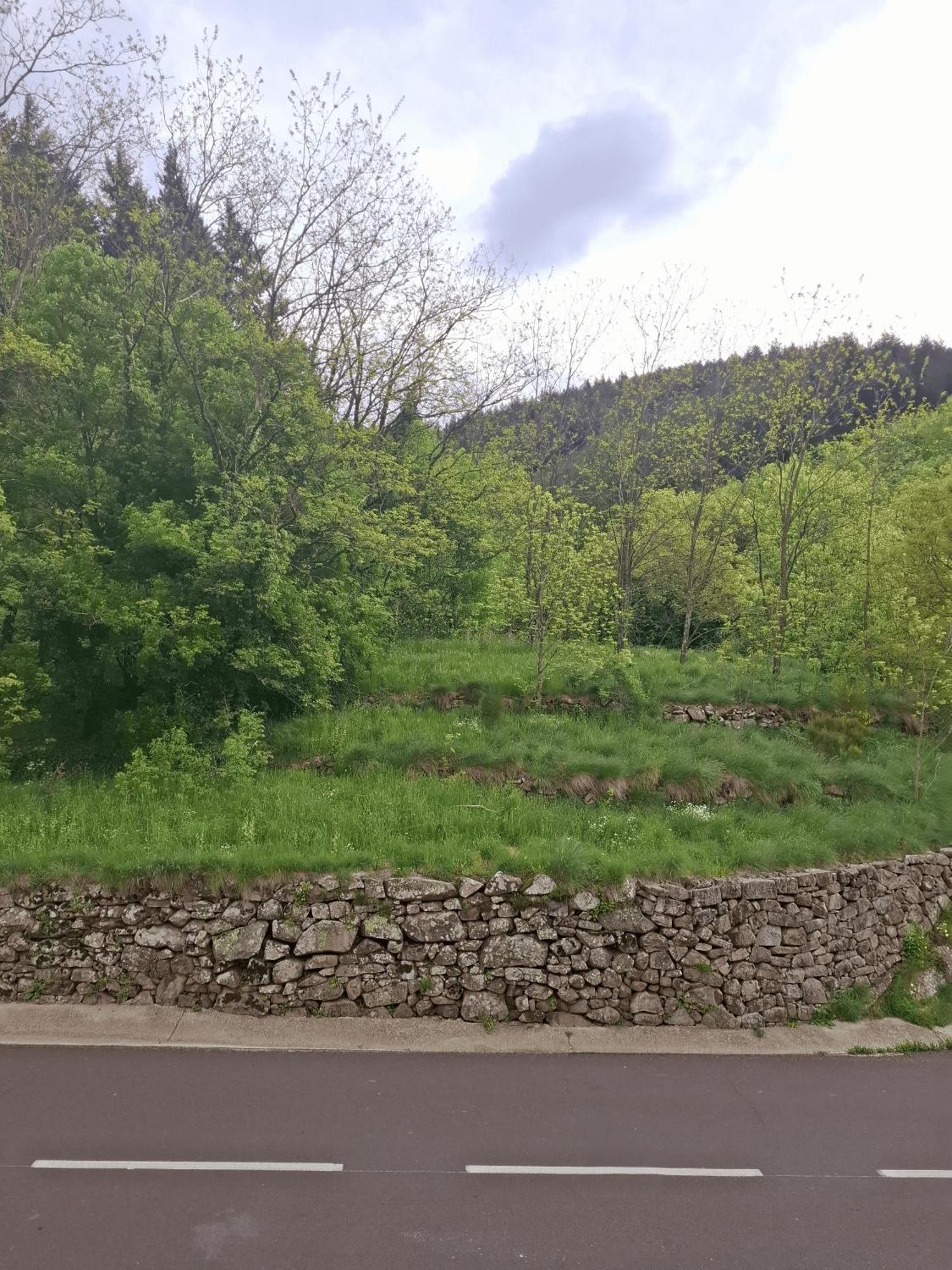 Auberge Arthea Laviolle Cameră foto