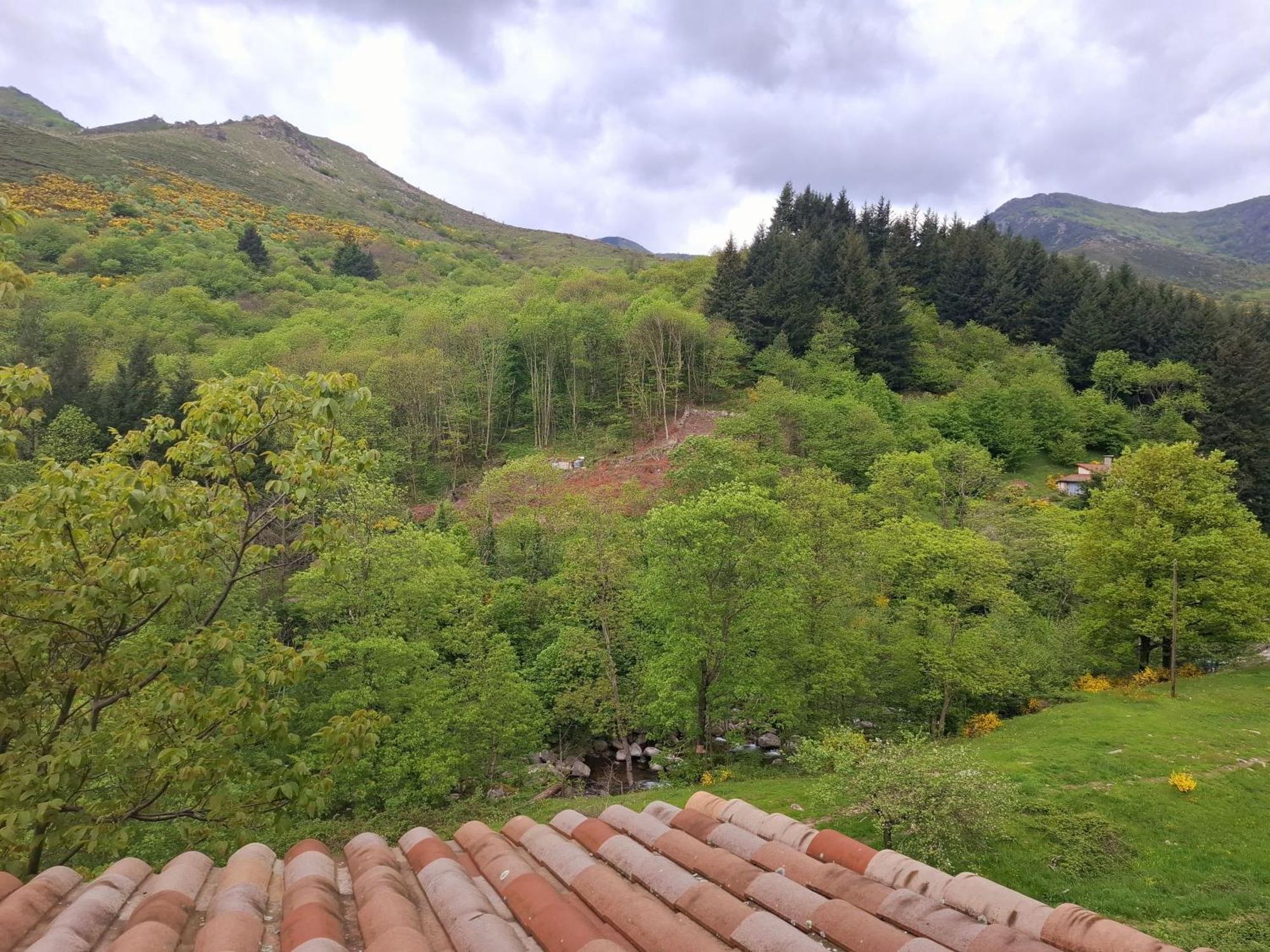 Auberge Arthea Laviolle Cameră foto